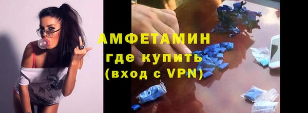 прущие грибы Красноперекопск