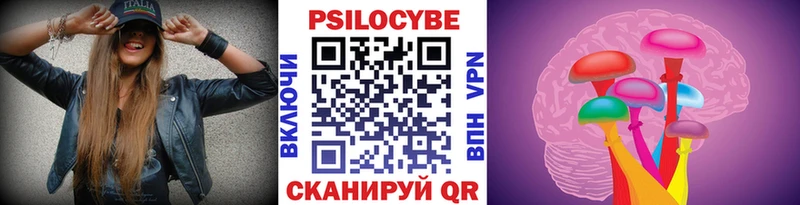 Псилоцибиновые грибы Psilocybe  Купить  Курчатов 